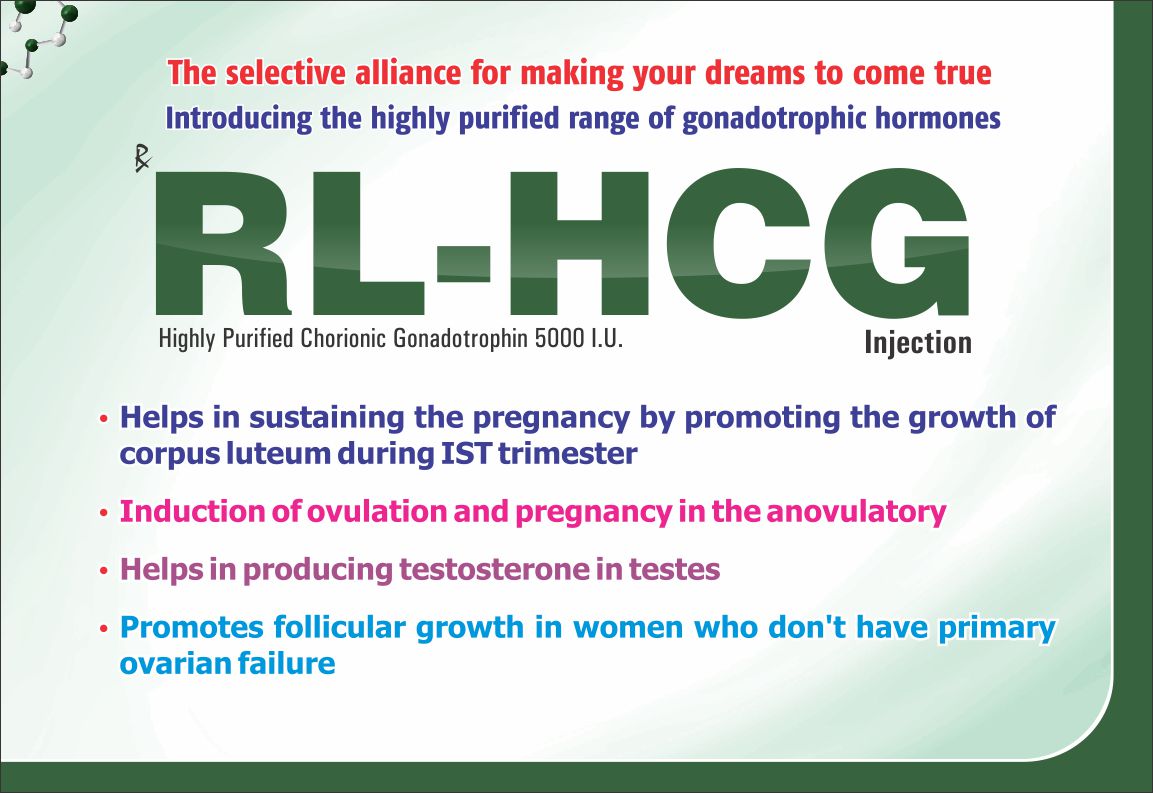 RL-HCG